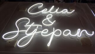Neon_Flex_1