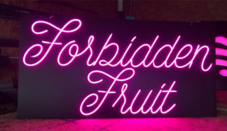 Foto_Neon_4